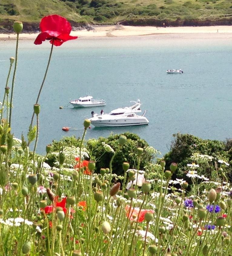 Cyntwell Guest Accommodation Padstow Extérieur photo